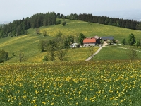 Baumblütenausfahrt 2018