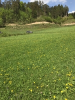 Baumblütenausfahrt 2018