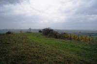 Herbstwochenende Burgenland 2017