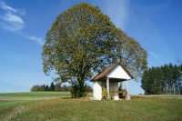 Kanadischer Herbst 11.2019