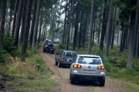 Kanadischer Herbst 11.2019