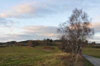 Kanadischer Herbst 11.2019