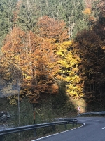 Knittelfeld